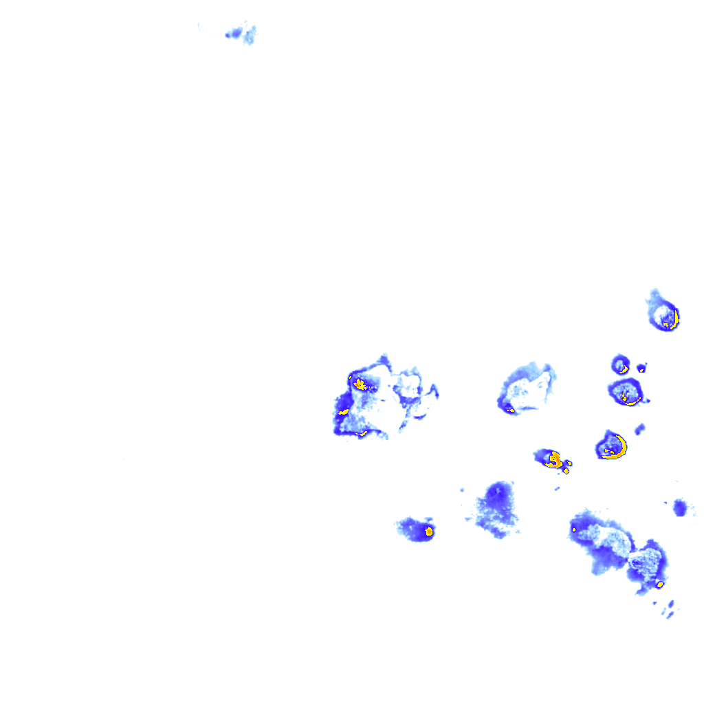 Image Layer