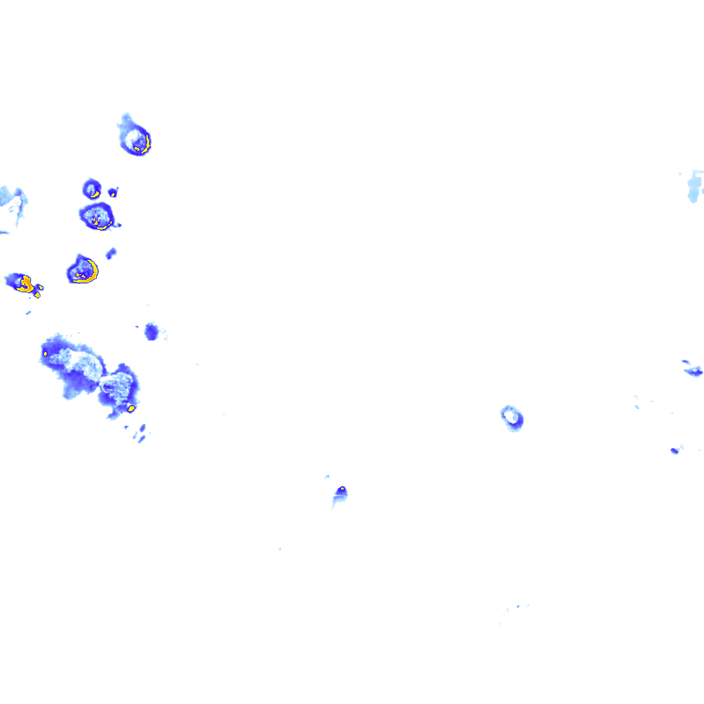 rainLayer