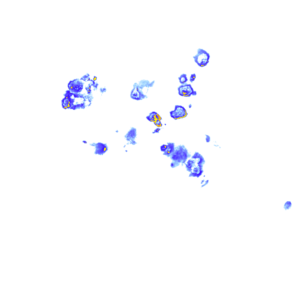 rainLayer
