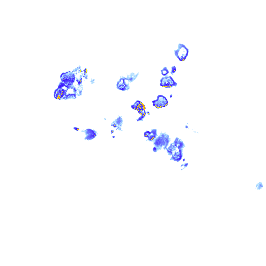 rainLayer