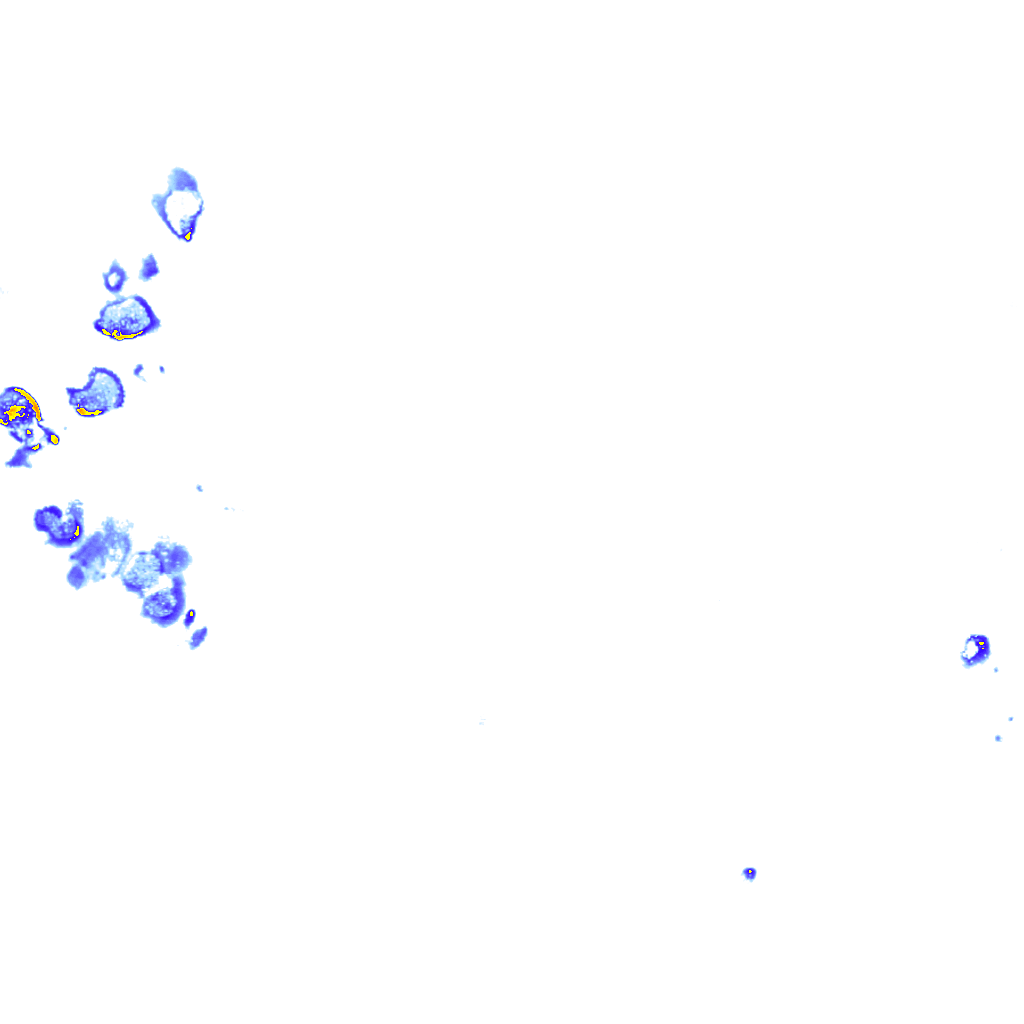 rainLayer