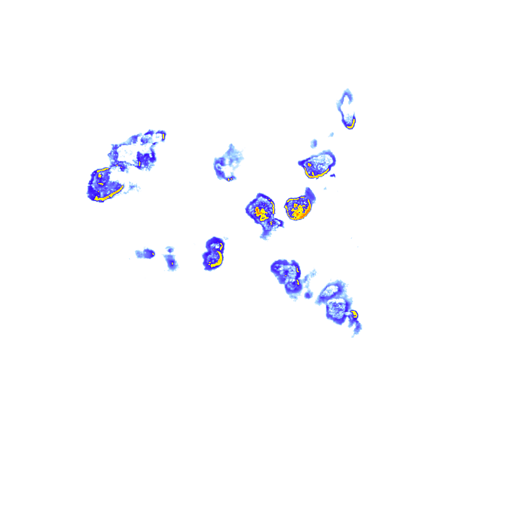 Image Layer