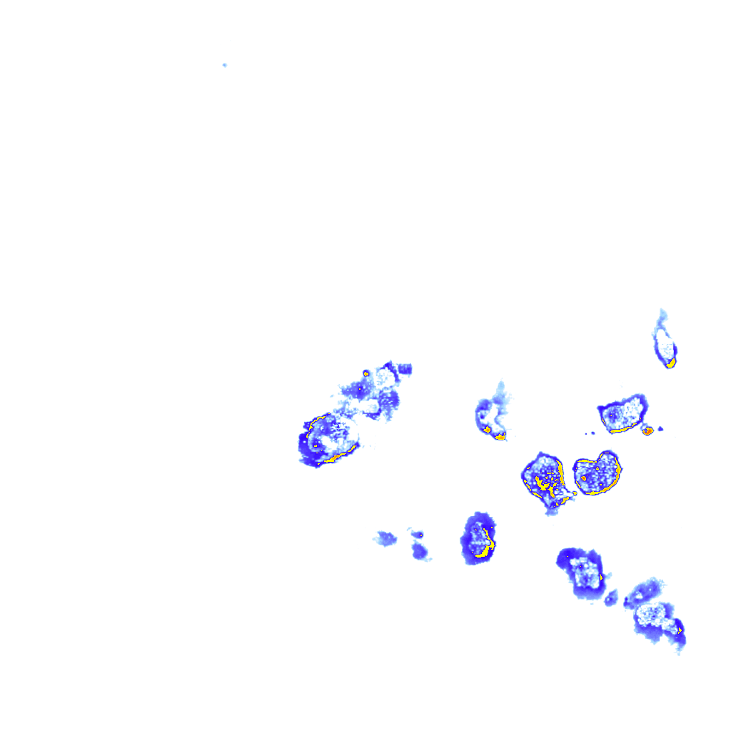 Image Layer