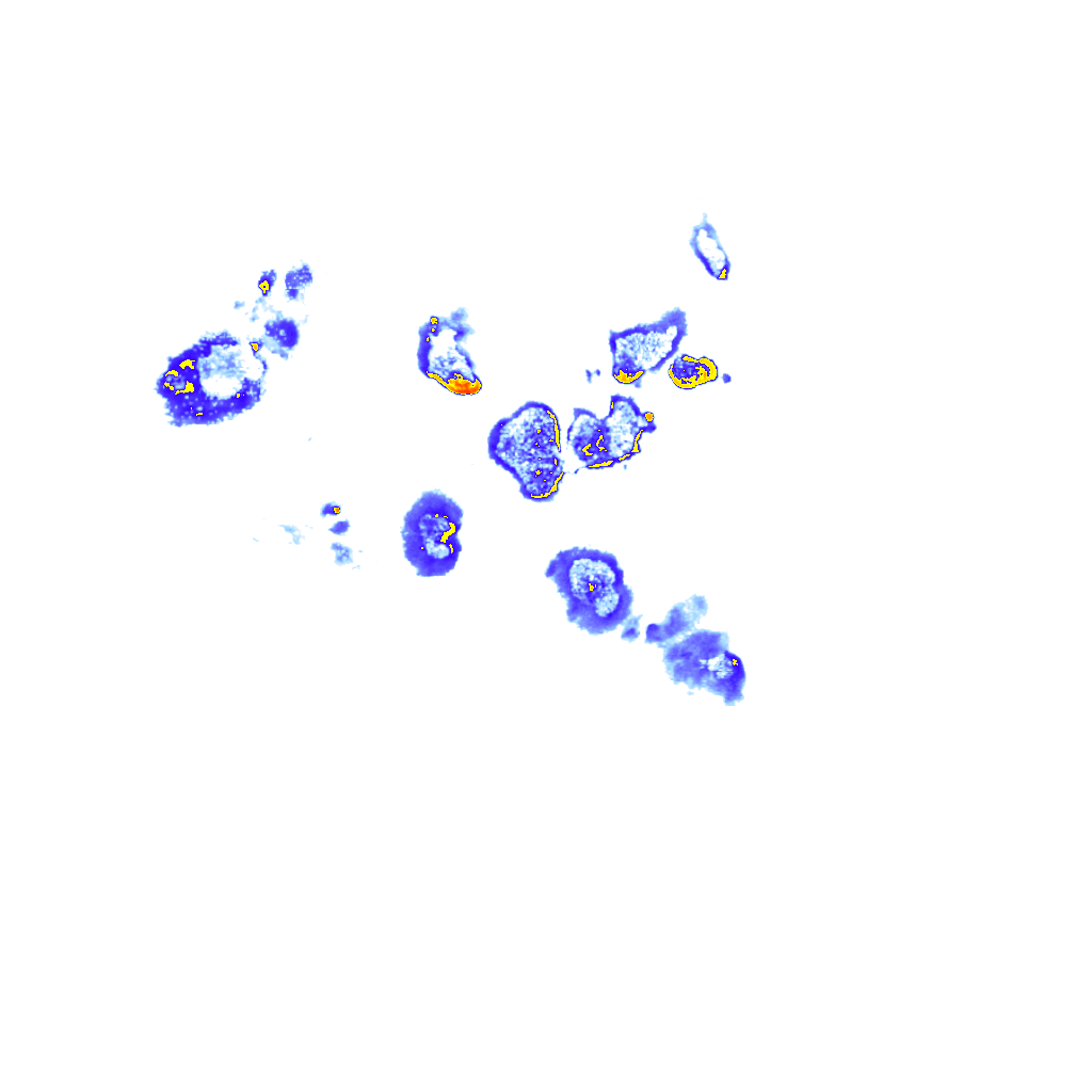 Image Layer