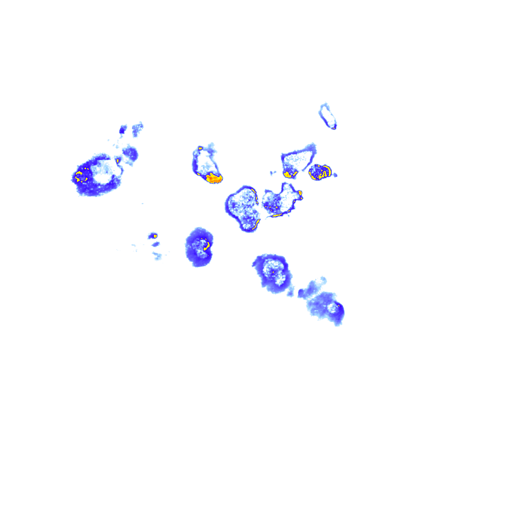 rainLayer