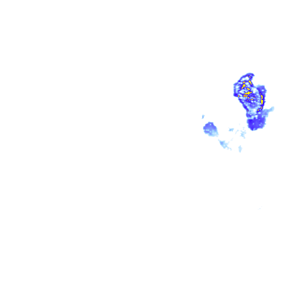 rainLayer