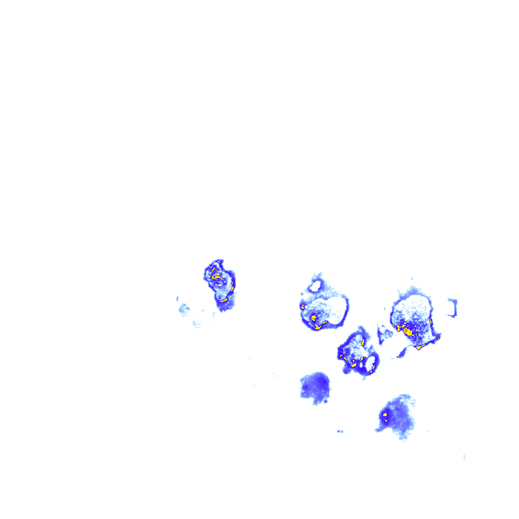 rainLayer