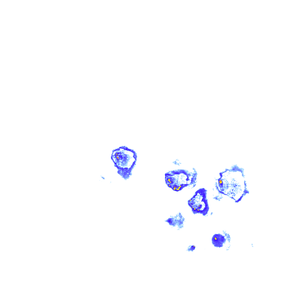 rainLayer
