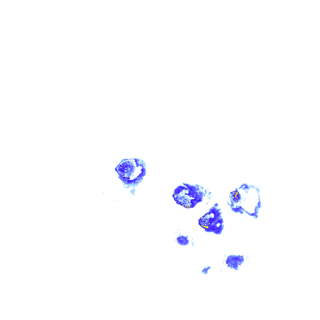 rainLayer