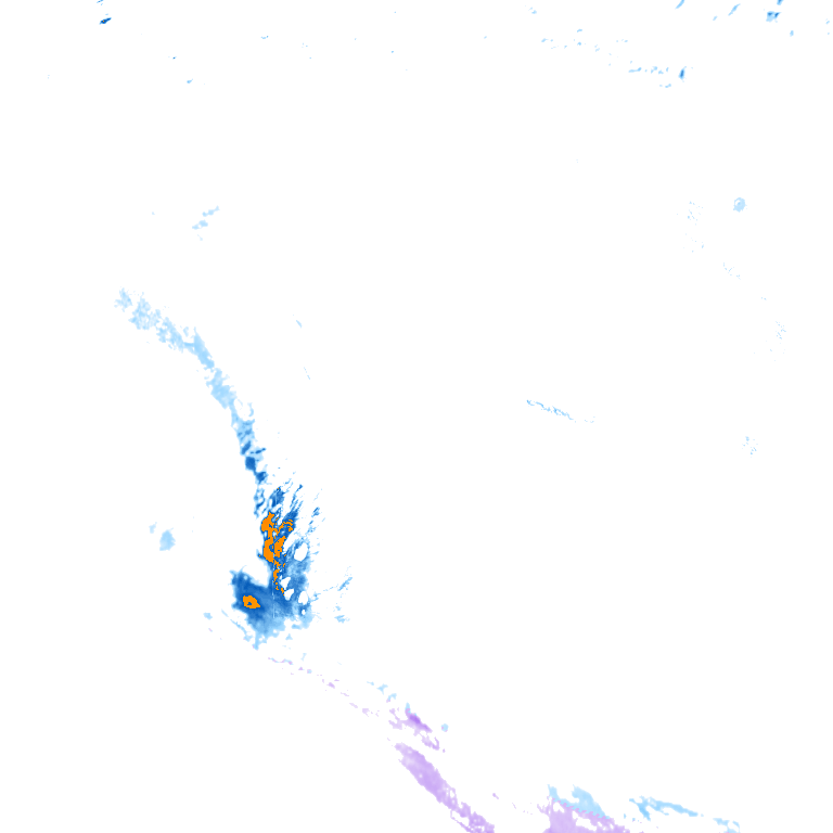 rain layer