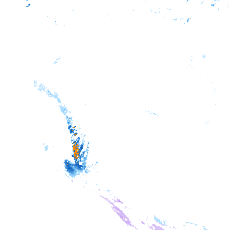 rain layer