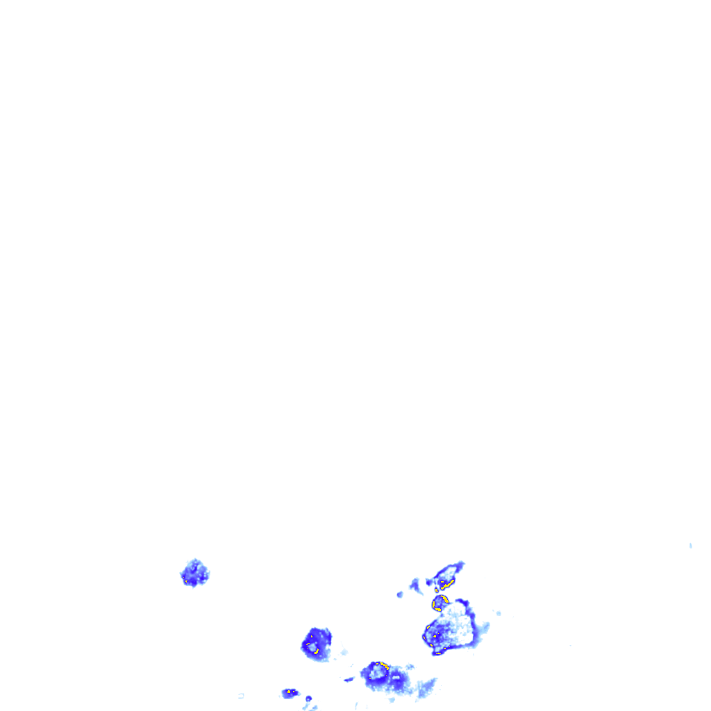 rainLayer