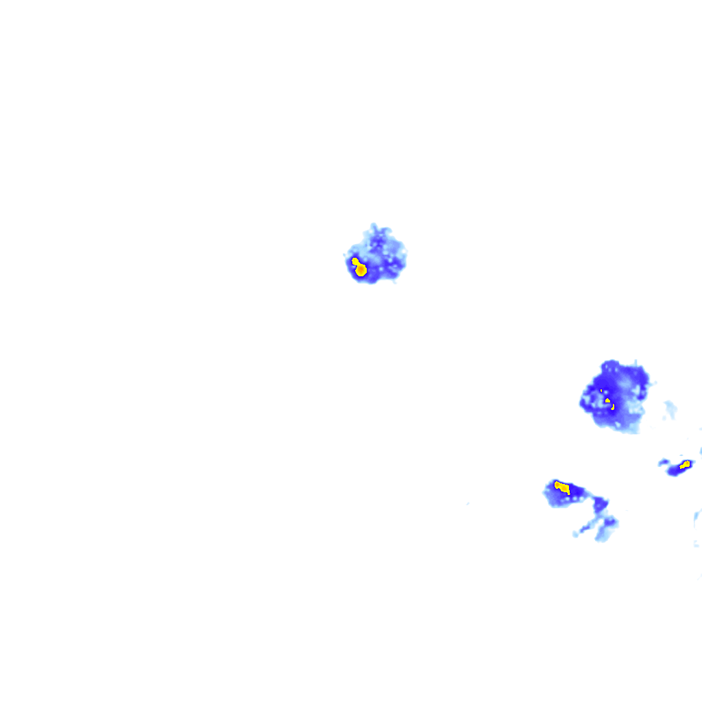 rainLayer