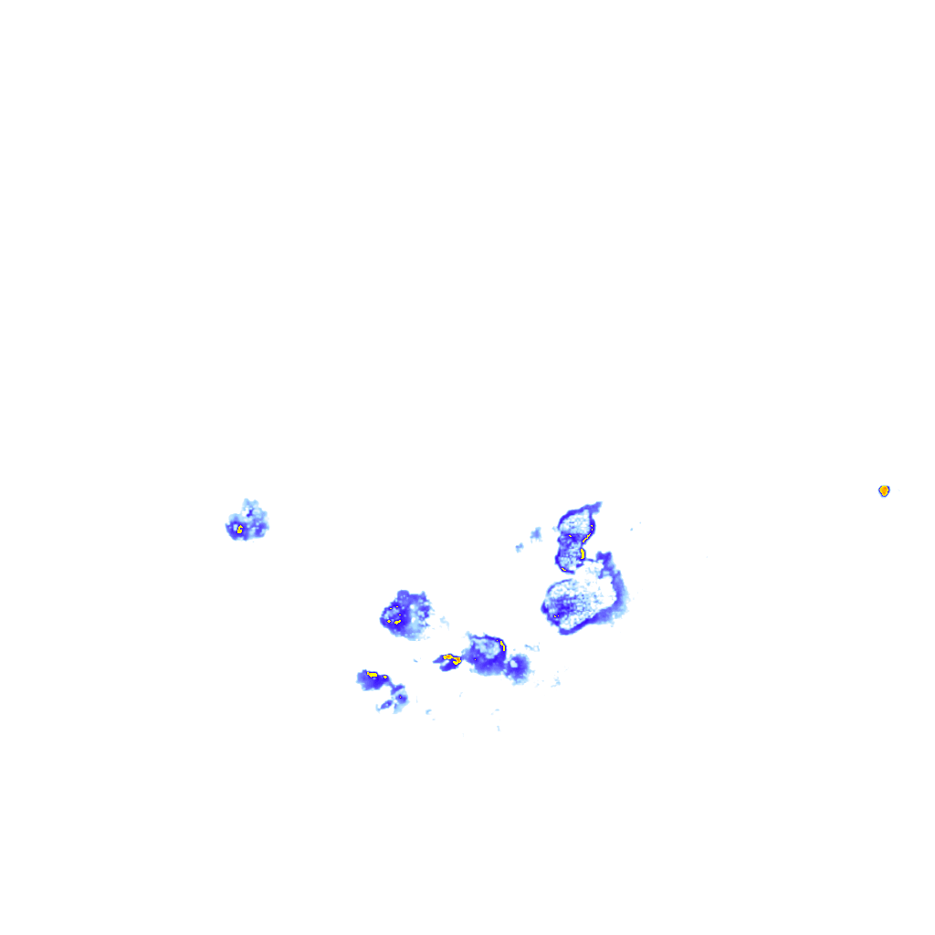 rainLayer
