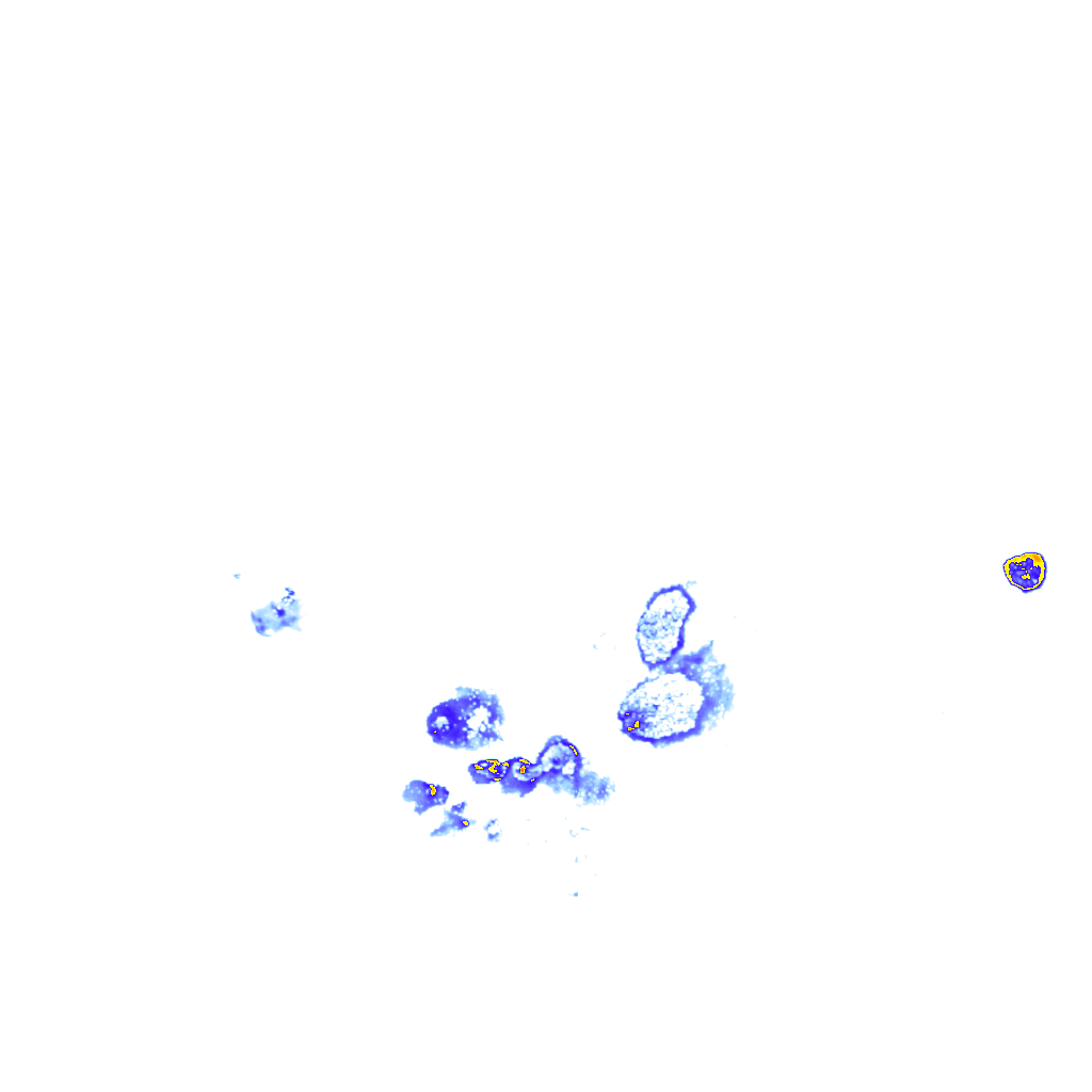 rainLayer