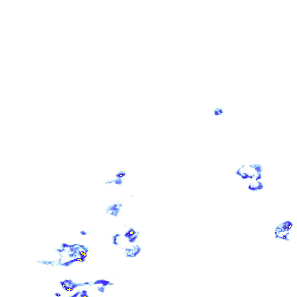 rainLayer