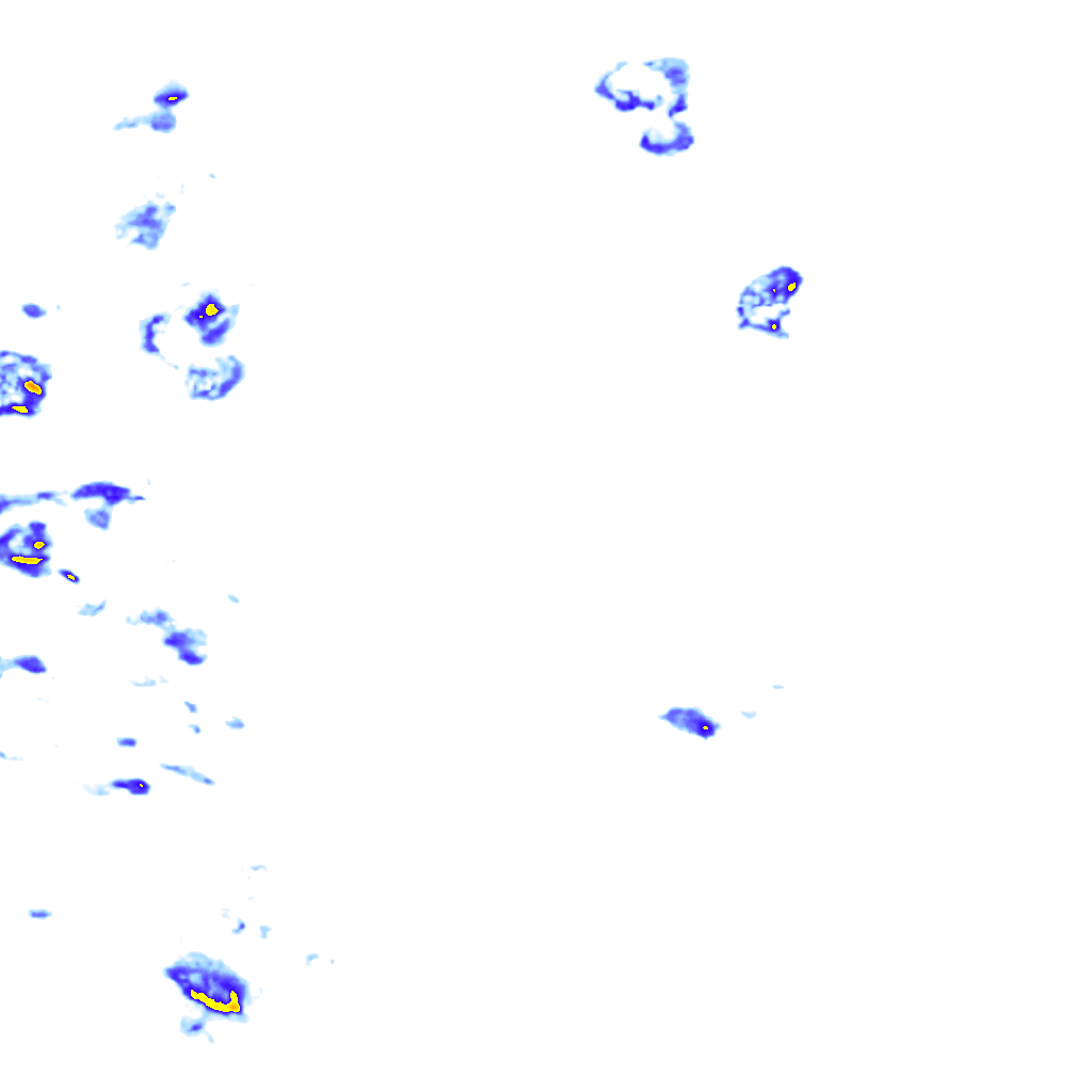 rainLayer