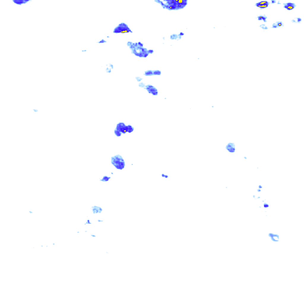 rainLayer