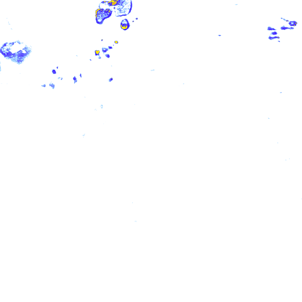 rainLayer