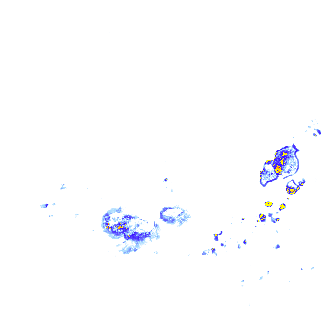 rainLayer
