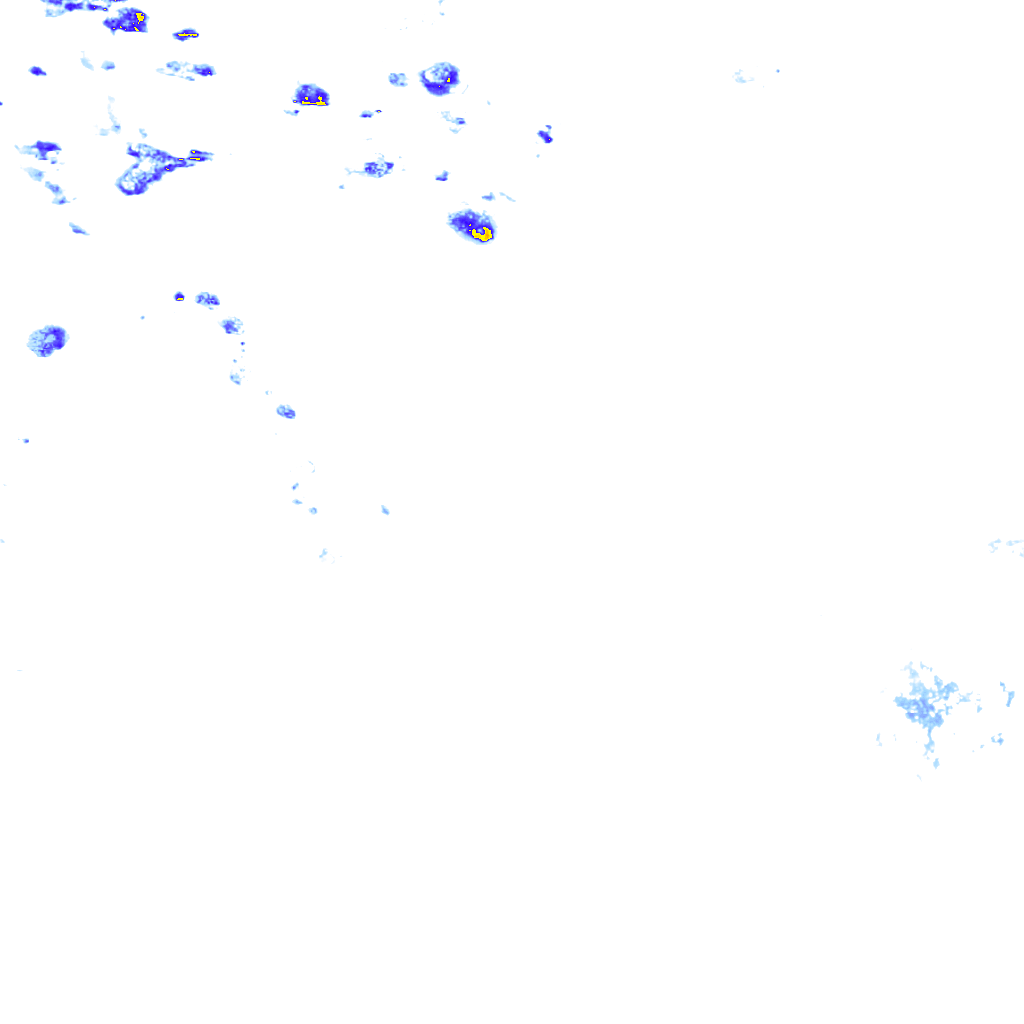 rainLayer