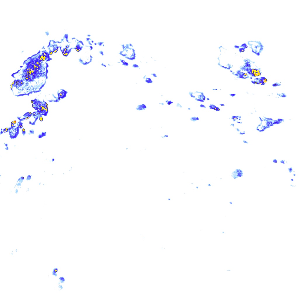rainLayer