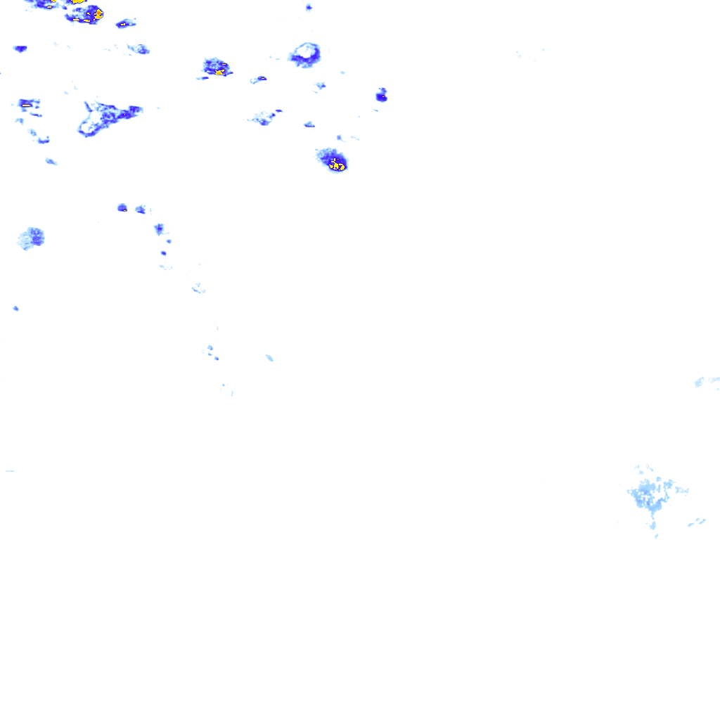 rainLayer