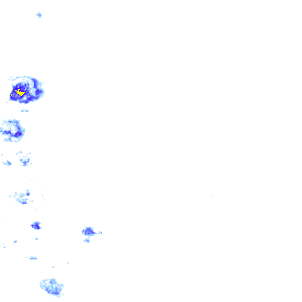 rainLayer