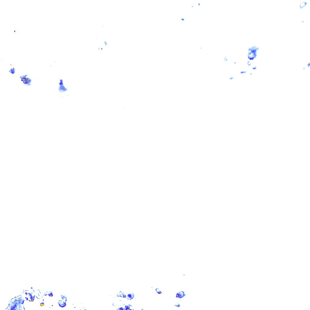 rainLayer