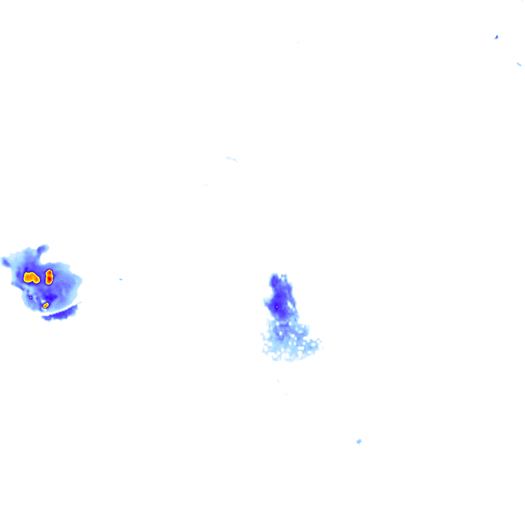 Image Layer