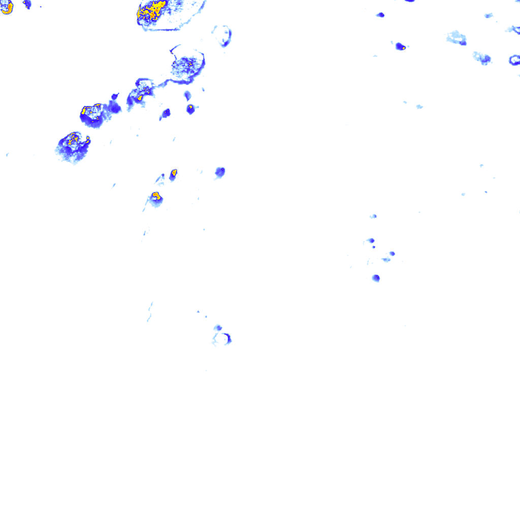 rainLayer