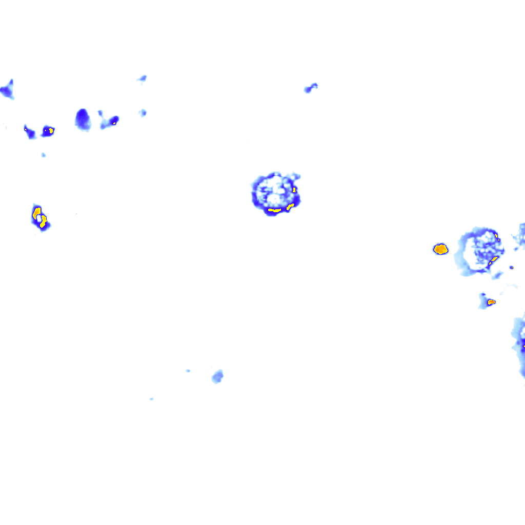 Image Layer