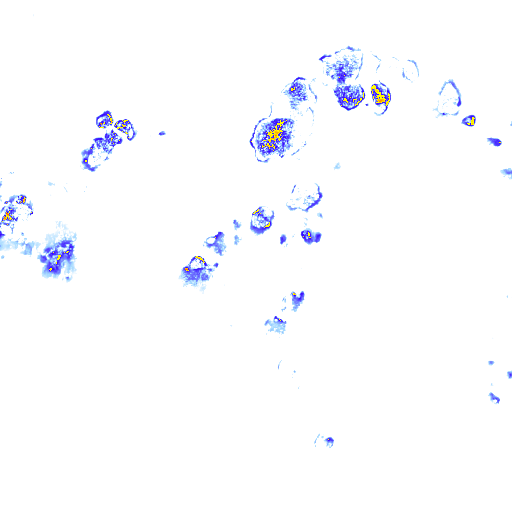 Image Layer