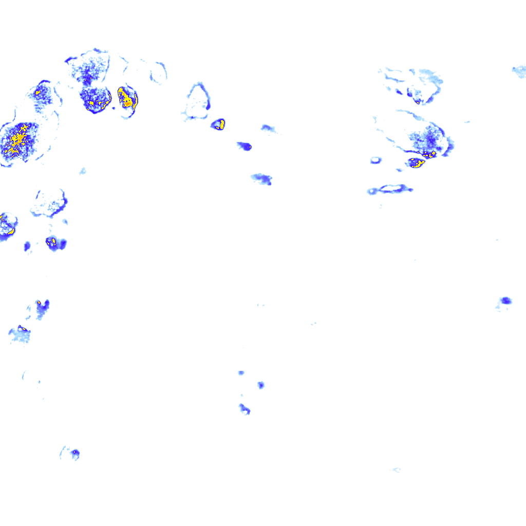 rainLayer