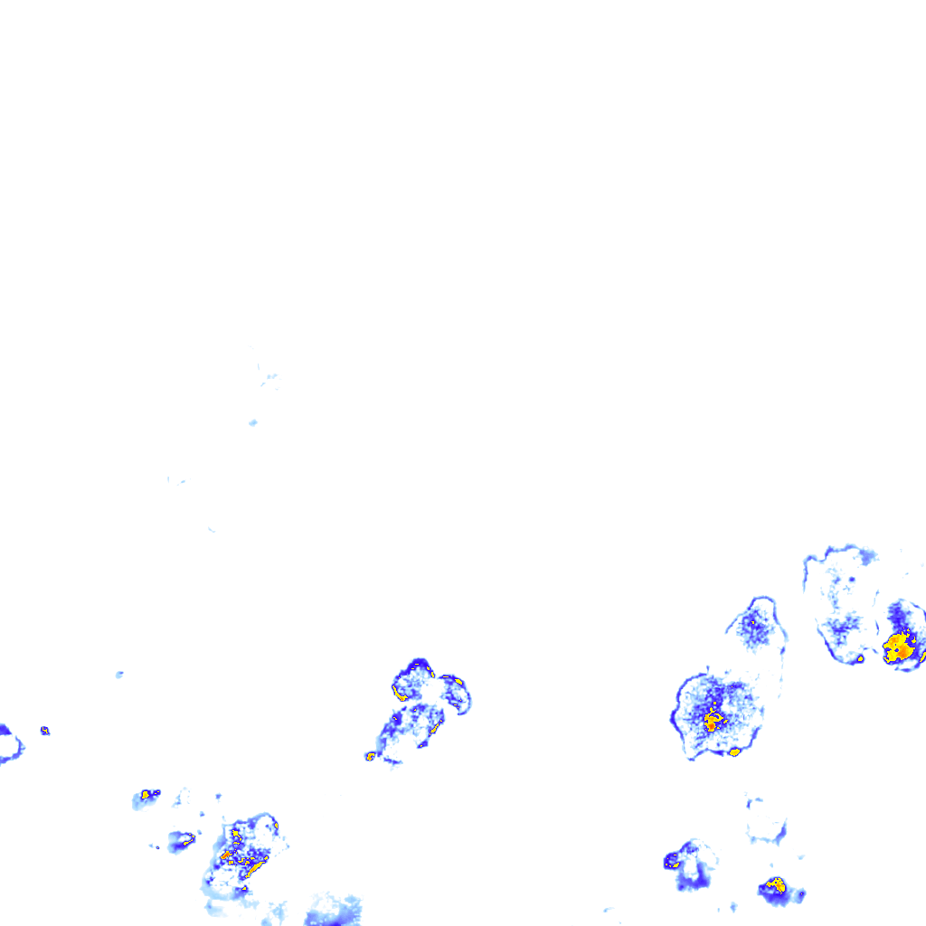 rainLayer