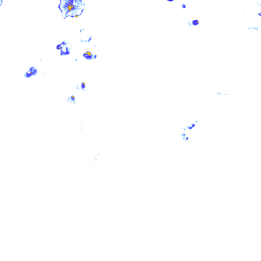 rainLayer
