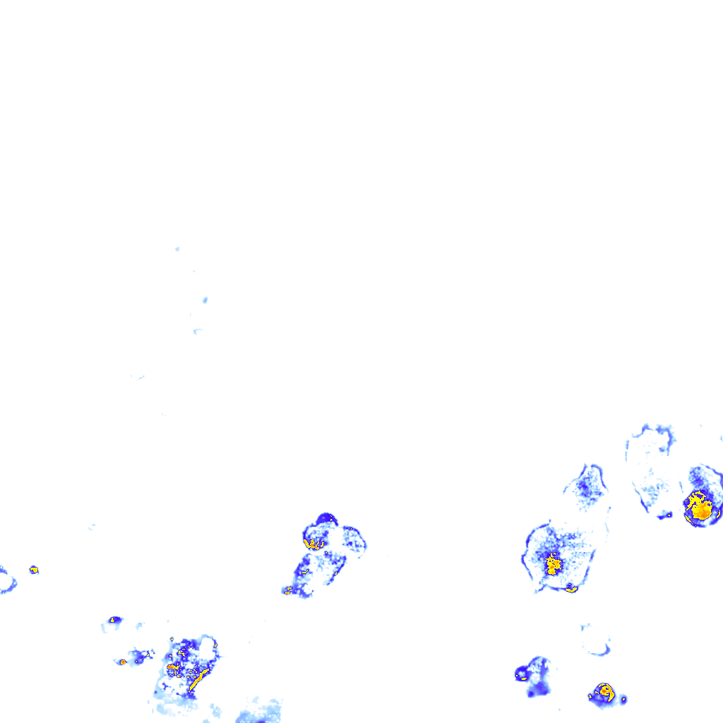rainLayer