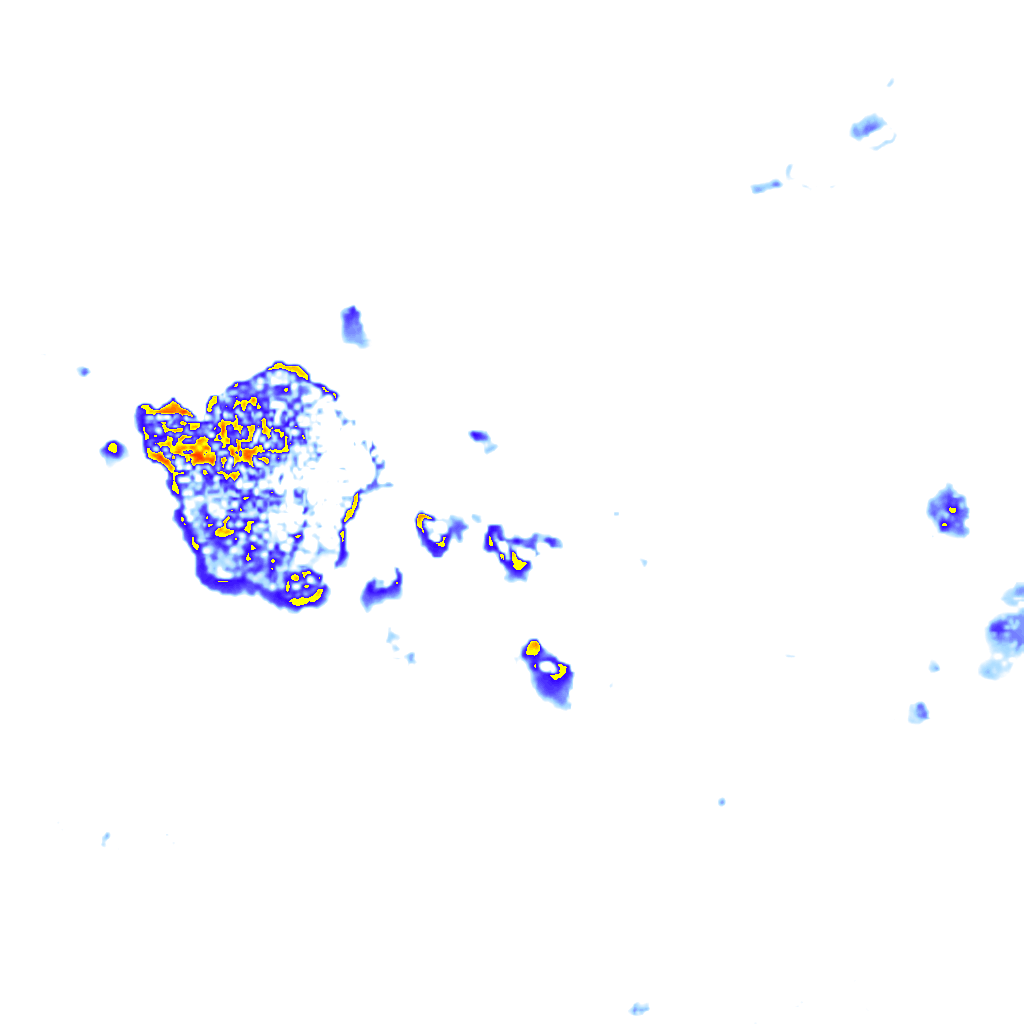 rainLayer
