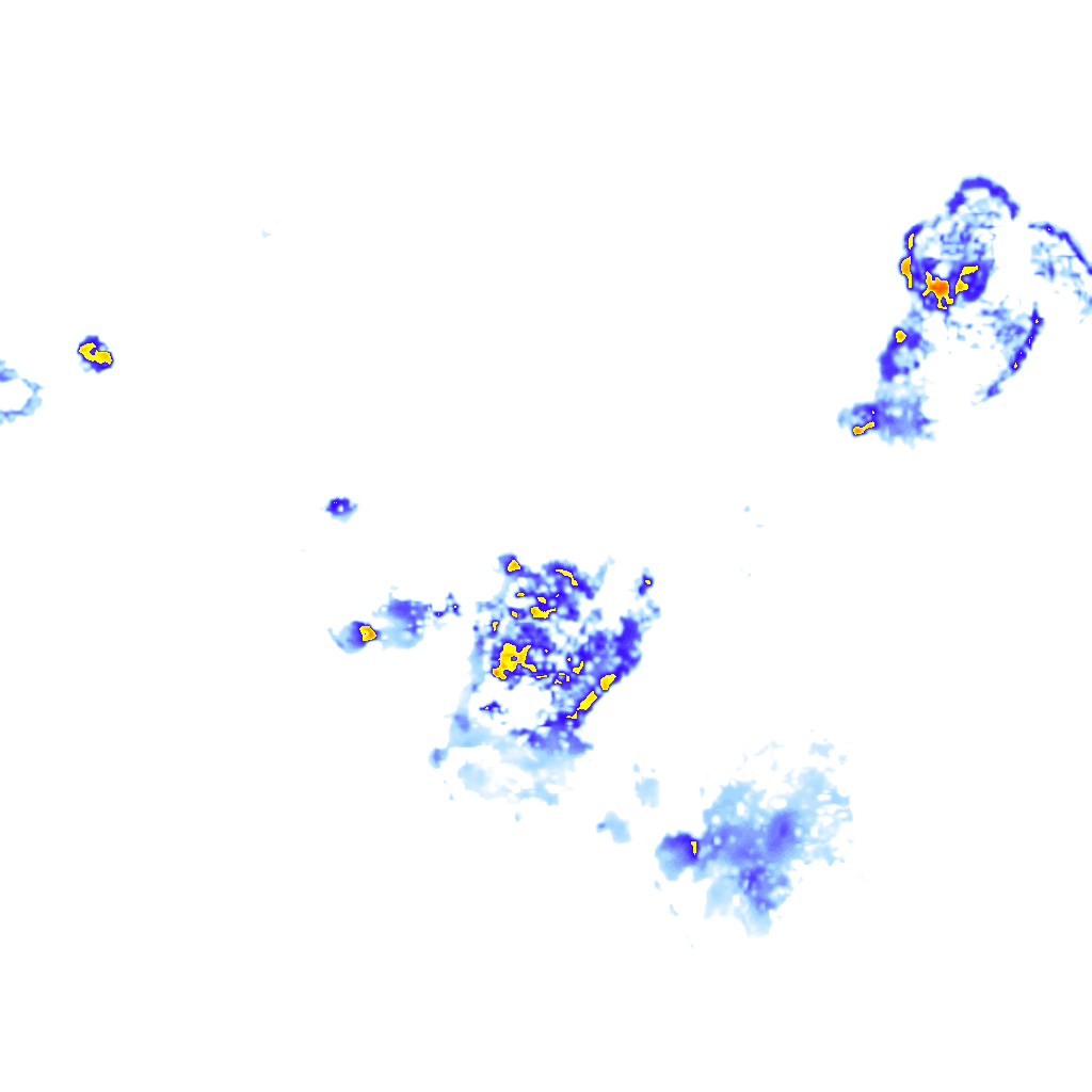 rainLayer