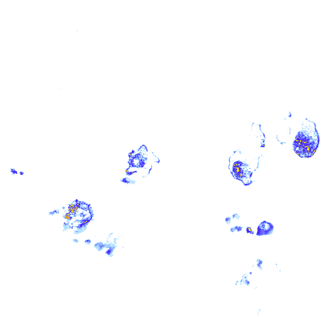 Image Layer