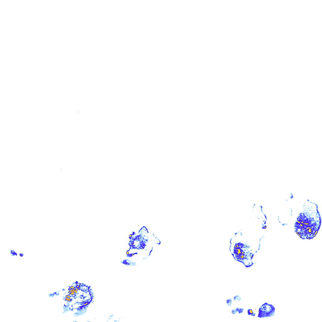 rainLayer
