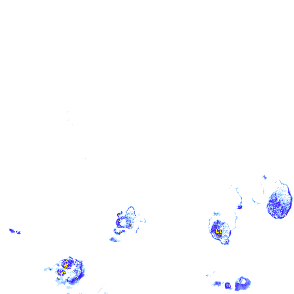 rainLayer