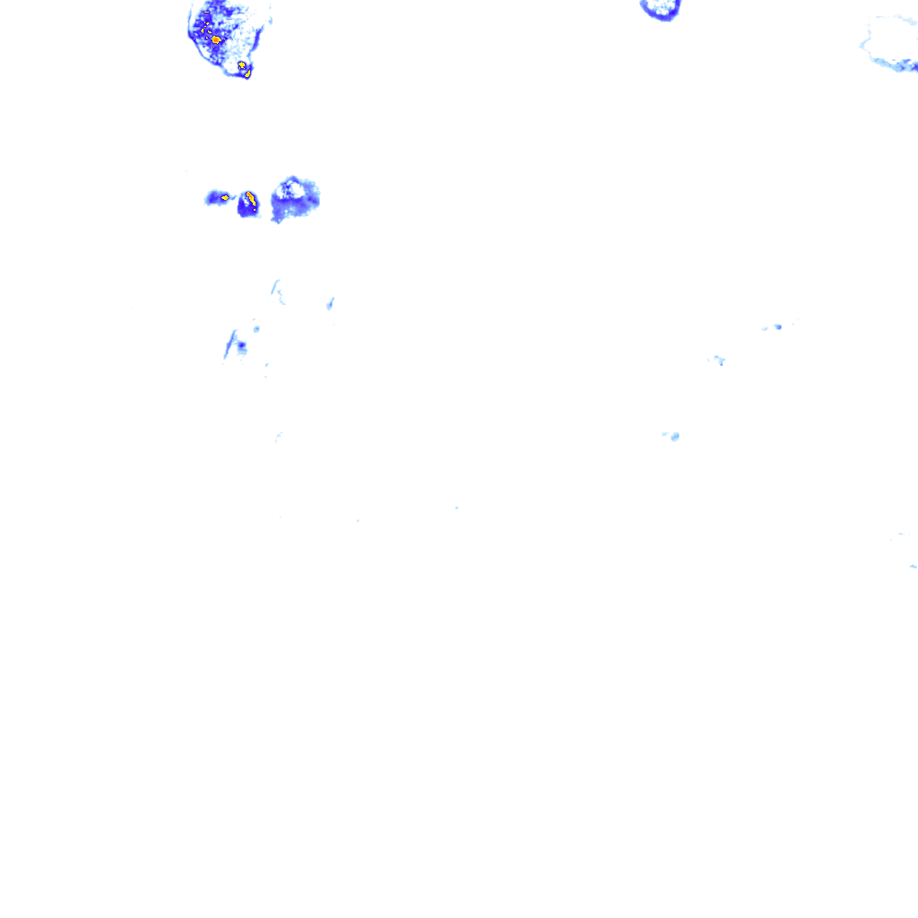 rainLayer