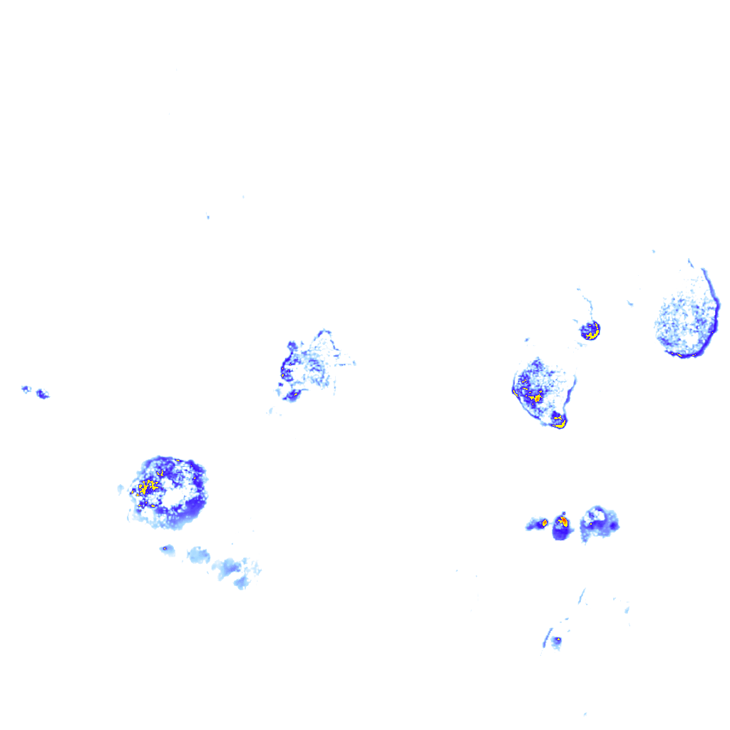 rainLayer