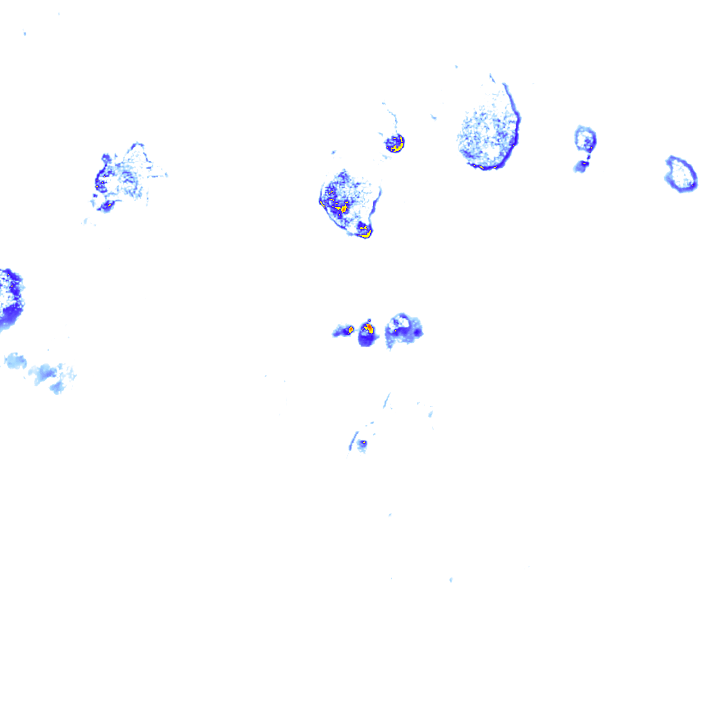 rainLayer