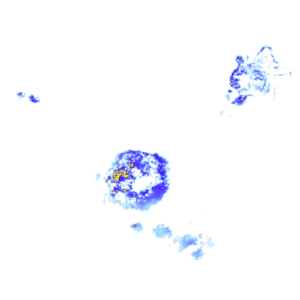 rainLayer