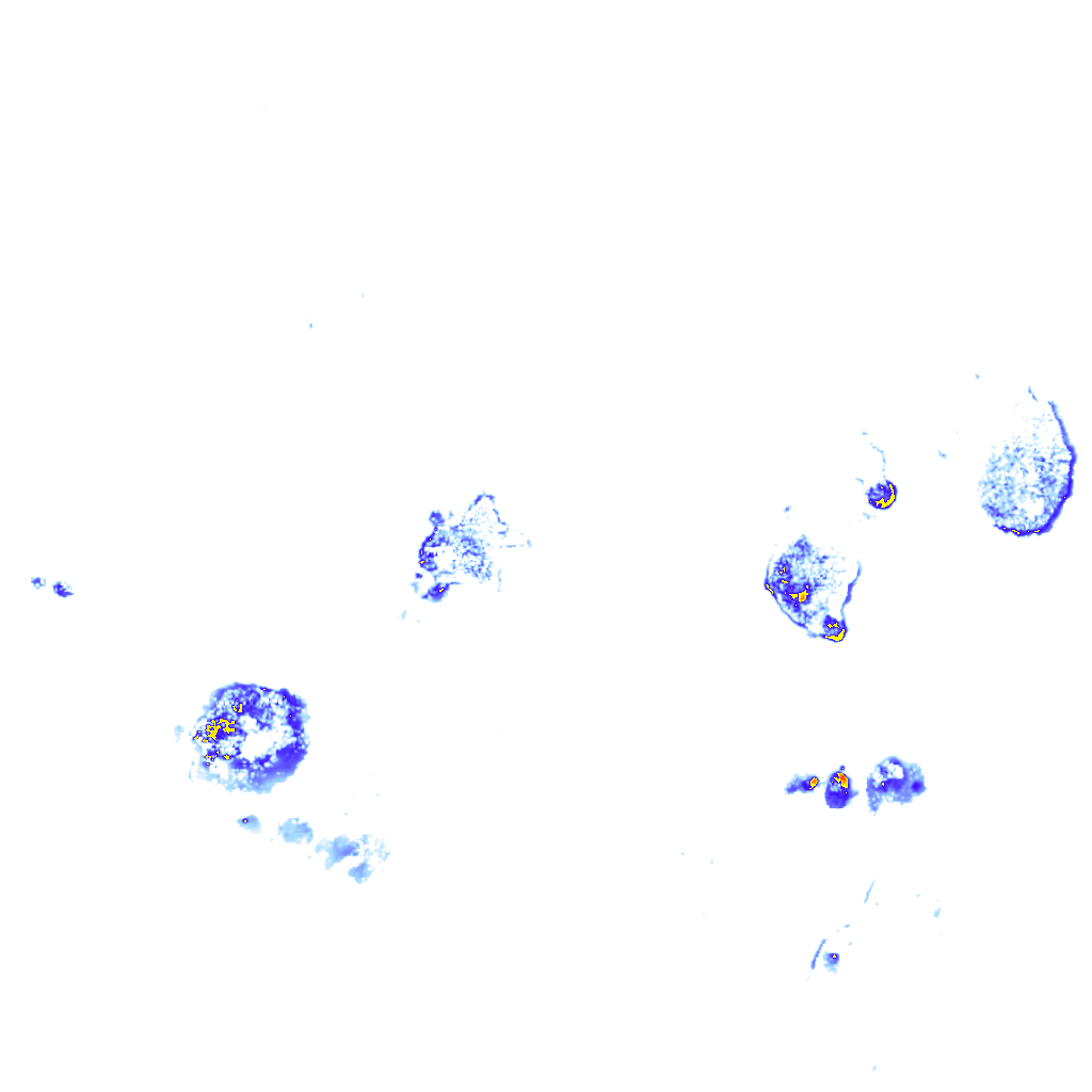 Image Layer