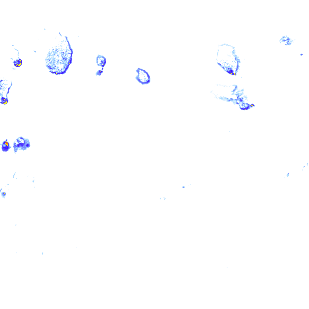 rainLayer