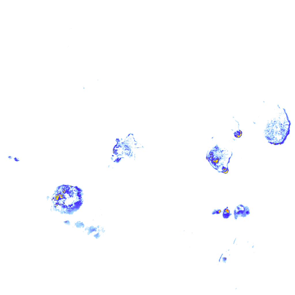 Image Layer