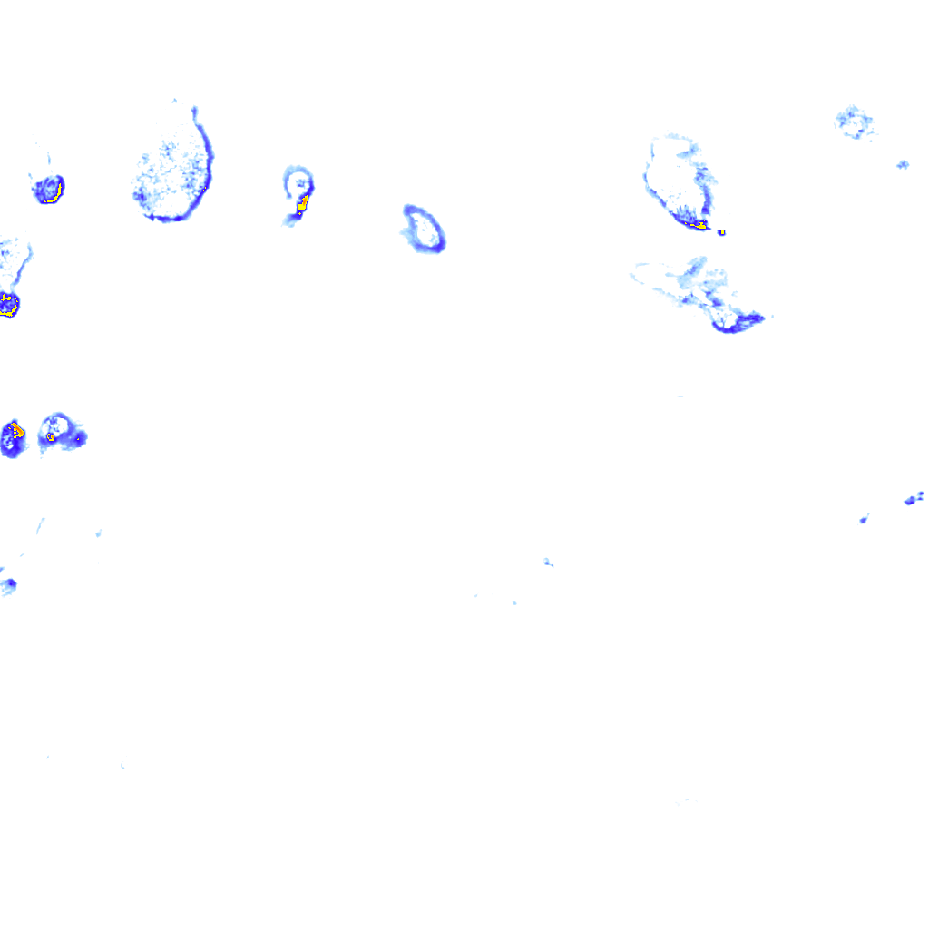 rainLayer